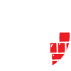 Certified Chimney Sweep logo
